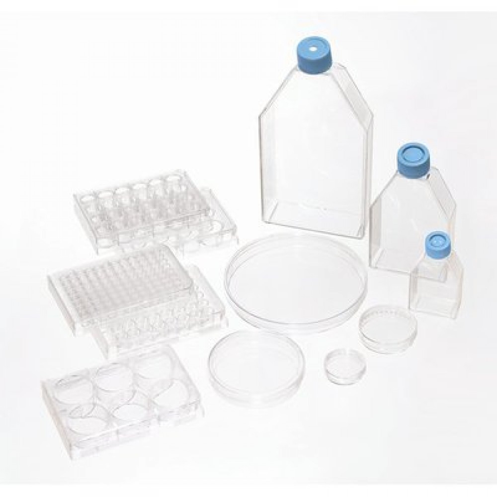 Thermo Scientific Flasks con tratamiento para cultivo celular BioLite (50 Unidades).