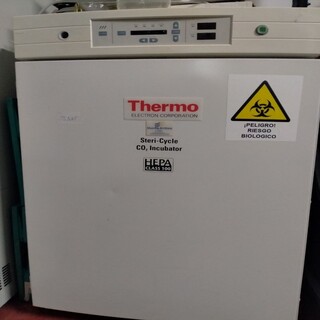 Incubador de CO2 steri cycle 371