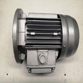 Three-phase motor 250W